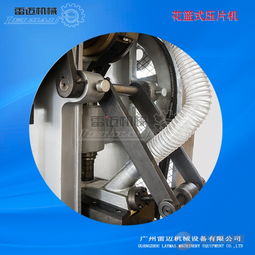 廣州雷邁機械直銷dhp型食品制藥化工雙色片花籃式壓片機